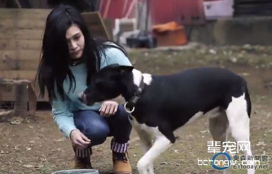 生活中心/综合报导 艺人夏宇童非常喜欢小动物,她翻唱改编陈奕迅的《全世界失眠》、田馥甄的《魔鬼中的天使》和林俊杰的《可惜没如果》,来诉说狗狗与人的故事,希望藉此让更多人关注动物们。MV中也请来5熊的家民宿董事长5熊和八里保育场的狗狗当毛演员,让人更有感触。 夏宇童将3首歌改编,其中《全世界失眠》希望主人们多陪伴毛孩,在忙工作、谈恋爱、找朋友等繁忙的生活中,别忘了宠物的一生只有主人,而牠们有多幺期待主人回家。