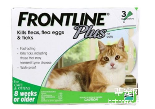 猫驱虫药种类有哪些？