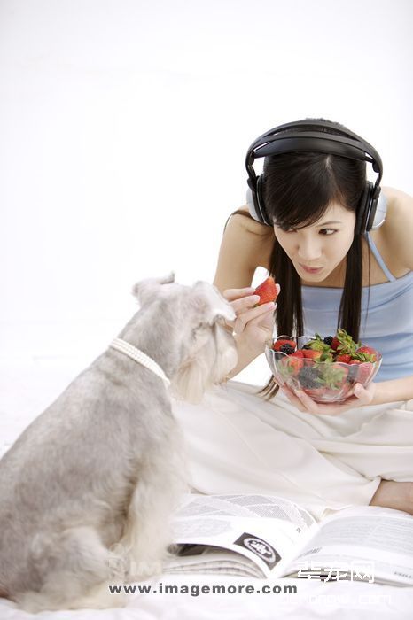 能喂狗狗吃人的饭菜吗？狗狗吃饭菜有什么坏处吗？