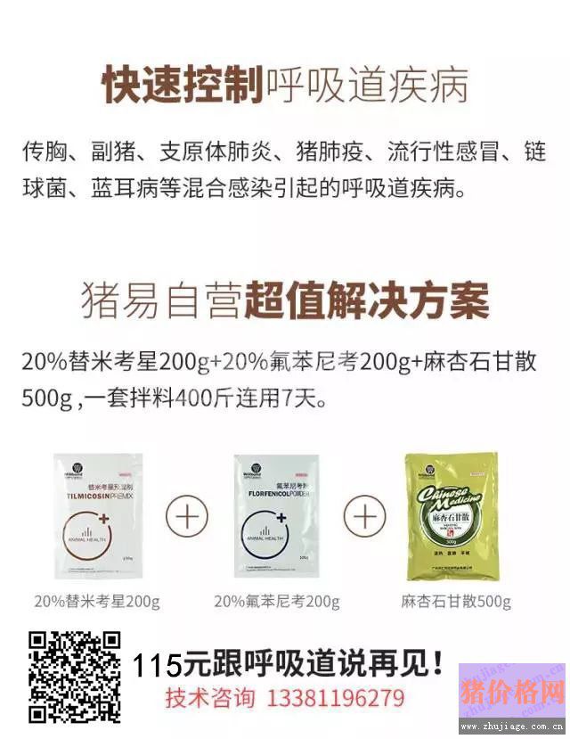 猪咳喘用药，注意这6点能事半功倍!