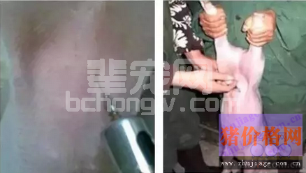 腹泻脱水的仔猪腹腔注射的药物配方