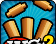 板球冠军赛2logo图