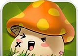 枫叶新世界logo图