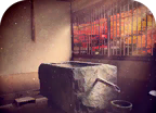 脱出游戏:花鸟风月logo图