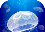 水母养成logo图
