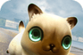 猫与龙logo图