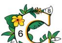 涂色小画家logo图