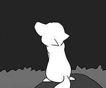 白狼衰落史logo图