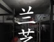 孙美琪疑案:兰芝logo图