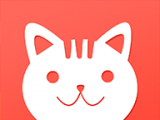 小猫百变logo图
