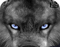 丛林狩猎进化logo图