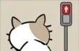 猫咪不见了logo图