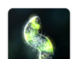 微生物的起源logo图