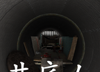 孙美琪疑案:井底人logo图