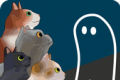 盯着鬼魂的猫logo图