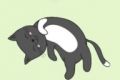 猫雨救援logo图