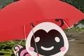 下雨的回家路logo图
