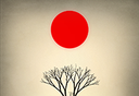 prune修剪艺术logo图