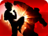 影子战斗2logo图