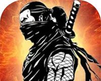 忍者战士之影logo图