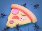蚂蚁搬运大陆logo图