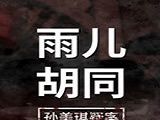 孙美琪疑案:雨儿胡同logo图