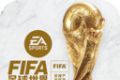 FIFA足球国际服图标