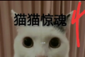 猫咪惊魂logo图