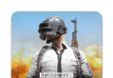 pubg日韩服logo图