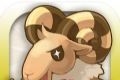 RO仙境传说:初心之战logo图