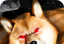 肌肉柴犬logo图