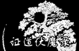 证道伏魔录logo图