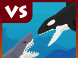海洋霸主:大白鲨VS虎鲸logo图