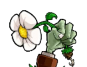 植物大战僵尸时空之乱logo图