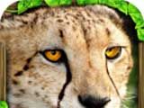 猎豹模拟器logo图