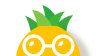 菠萝HRlogo图