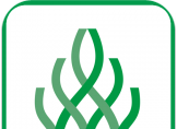 伴我考教师证logo图