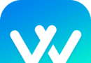 Welllogo图