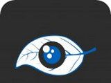 BlueEyes直播logo图