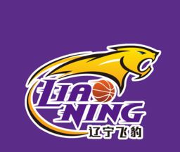 辽宁飞豹logo图
