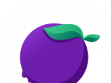 蓝莓Radiologo图