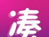 凑凑logo图