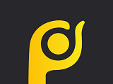 PPbodylogo图
