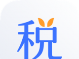 新个税管家logo图