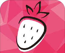 黑莓日记logo图