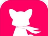 灼灼logo图