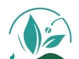 慈海网校logo图