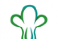 倪的菜logo图
