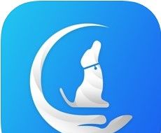犬易logo图