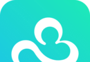 轻瘦logo图